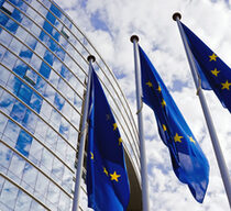 European Union Flags