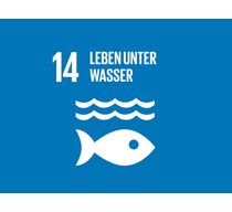 Logo des 14. globalen Ziels für nachhaltige Entwicklung "Leben unter Wasser"