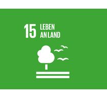 Logo des 15. globalen Ziels für nachhaltige Entwicklung "Leben an Land"
