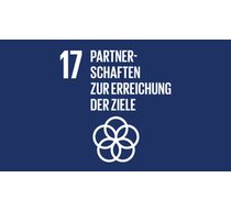 Logo des 17. globalen Ziels für nachhaltige Entwicklung "Partnerschaften zur Erreichung der Ziele"