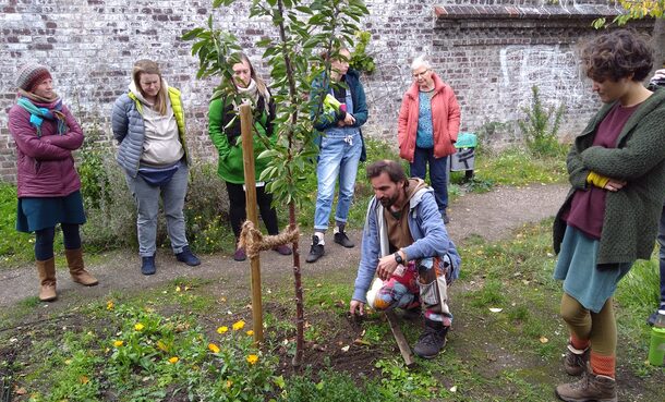 Pflanzenkunde im Bürgergarten