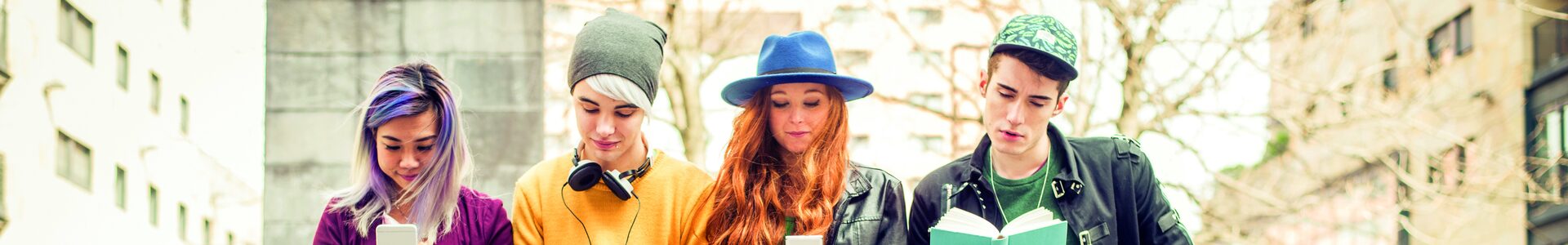 Modellkonzept „Demokratieführerschein”