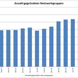 Anzahl gegründeter Netzwerkgruppen in der vhs.cloud