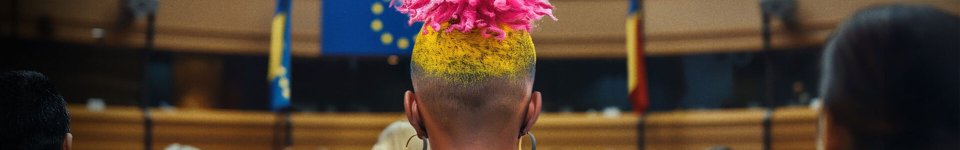 Eine Person mit dunkler Hautfarbe und bunt gefärbten Haaren ist von hinten in einem Plenarssal zu sehen. Im Hintergrund sieht man schemenhaft die EU-Flagge und weitere Personen.