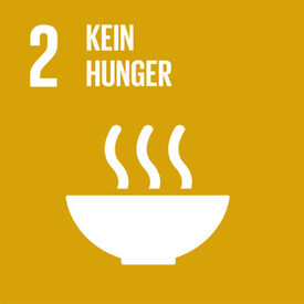 Logo des 1. globalen Ziels für nachhaltige Entwicklung "Keine Armut"