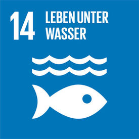 Logo des 14. globalen Ziels für nachhaltige Entwicklung "Leben unter Wasser"