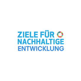 Logo SDG, 17 Ziele Kampagne