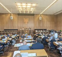 Foto der Mitgliederversammlung im Plenarsaal des Römer in Frankfurt