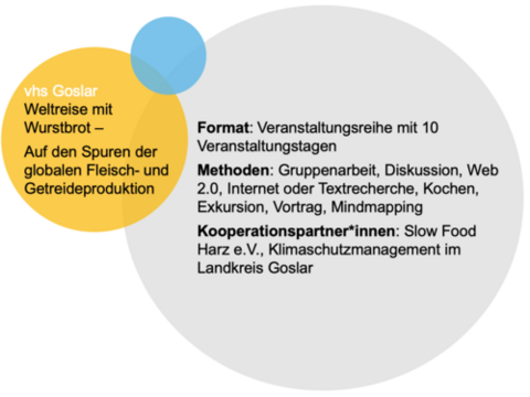 Projektinformationen vhs Goslar
